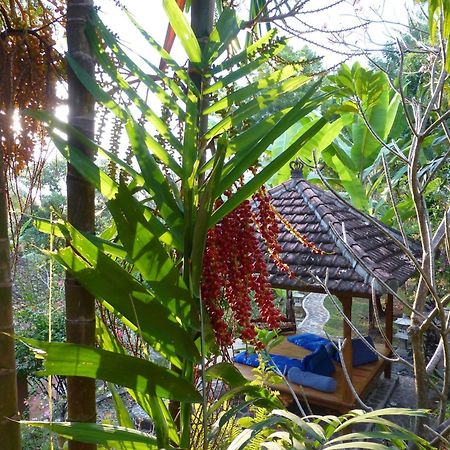 Sananda Bungalow Lovina  Exterior photo