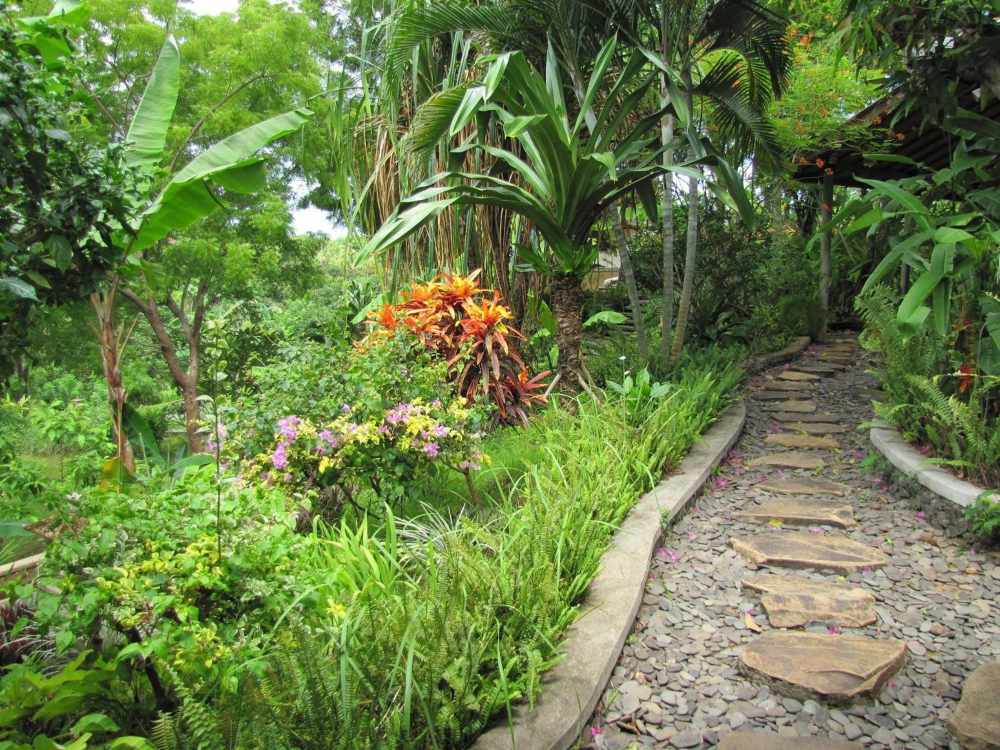 Sananda Bungalow Lovina  Exterior photo