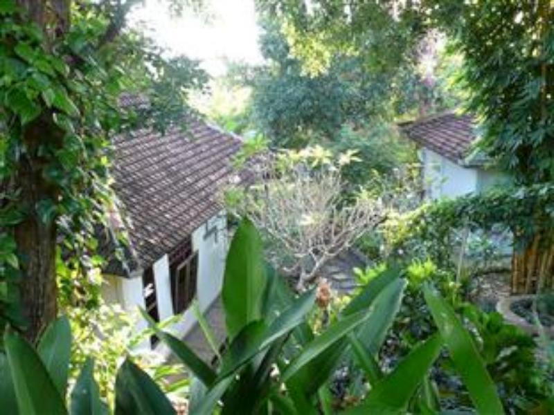 Sananda Bungalow Lovina  Exterior photo